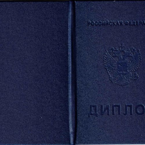 Диплом техникума 2008-2010