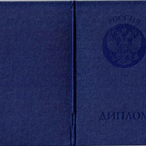 Диплом ВУЗА 2009-2010